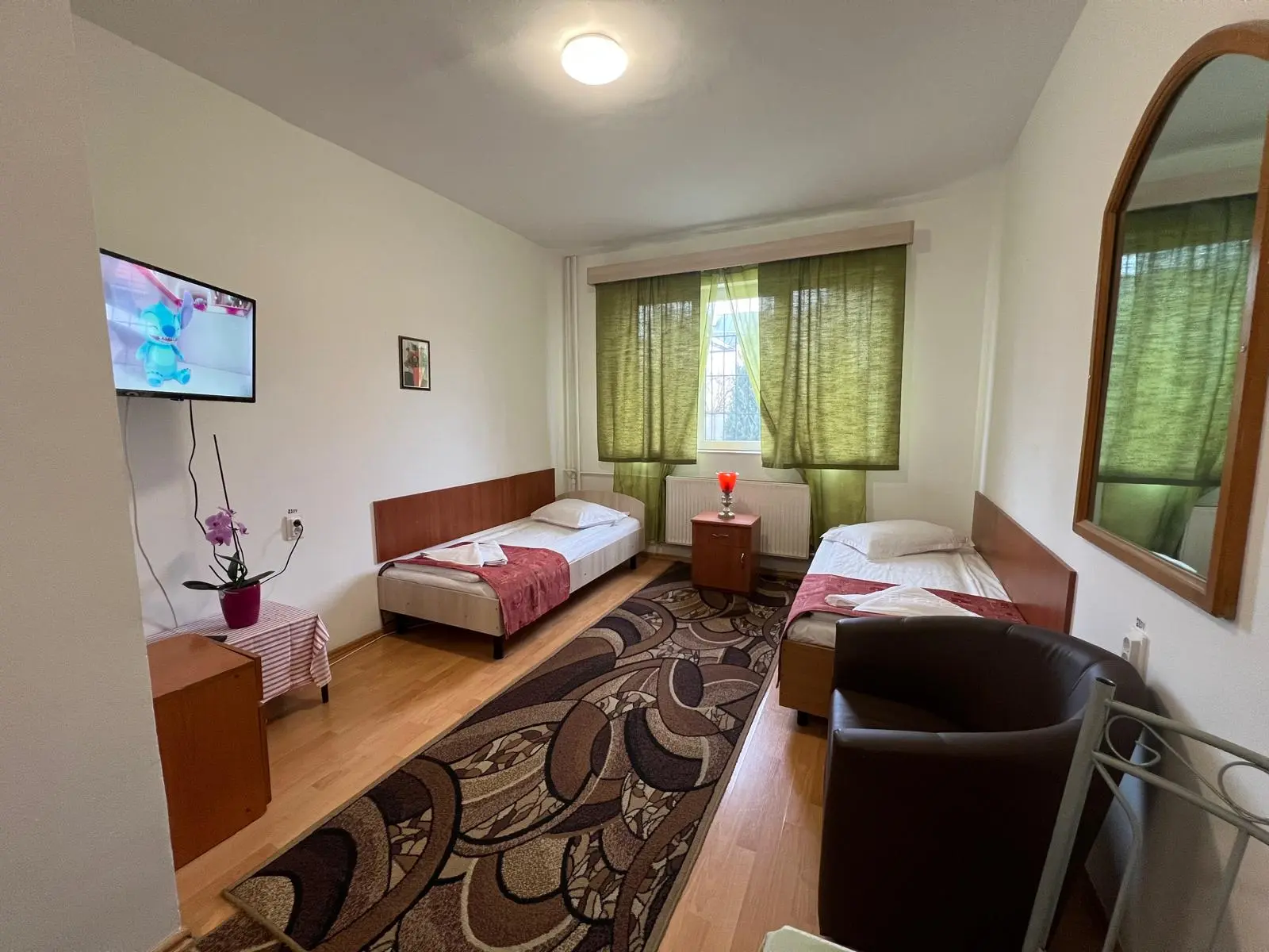 Imagine din Camera Dublă Twin