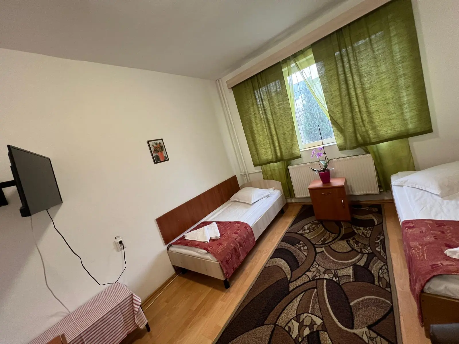 Imagine din Camera Dublă Twin